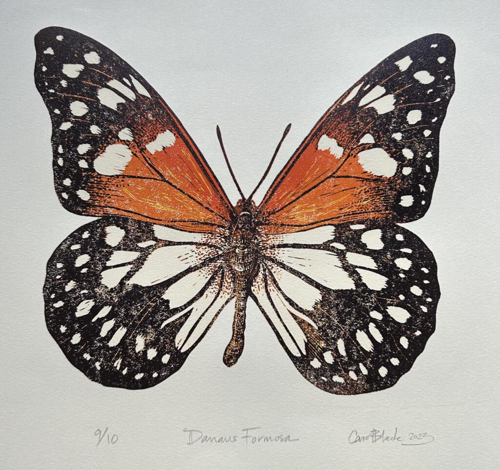 Danaus Formosa, Carol Black